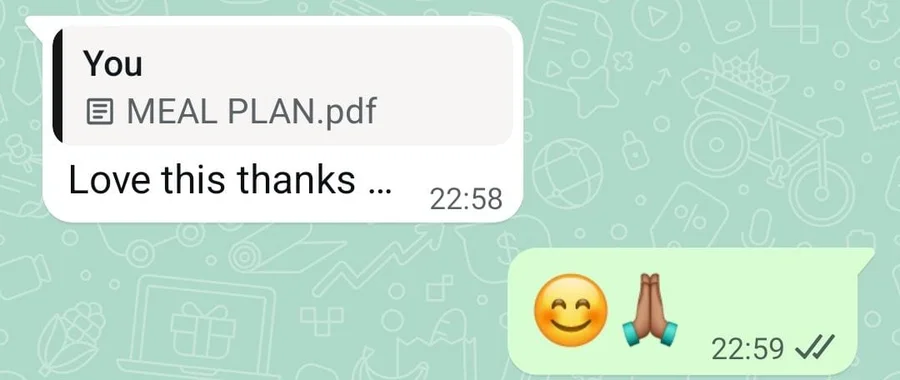 Client thanks the coach after receiving a meal plan PDF.